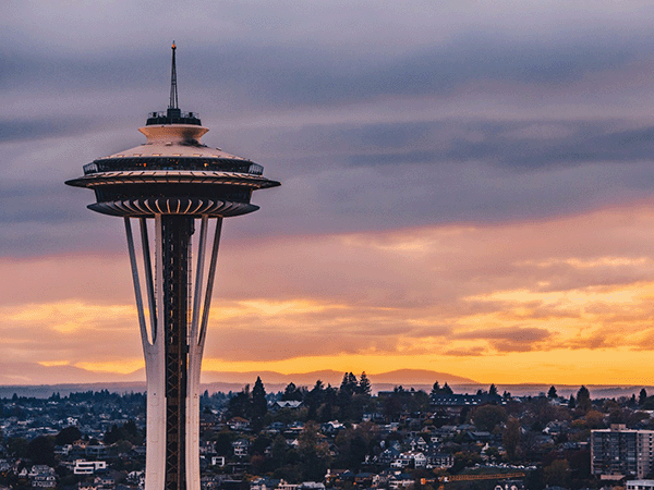 The Best Dog Trainers in Seattle, WA of 2025 thumbnail
